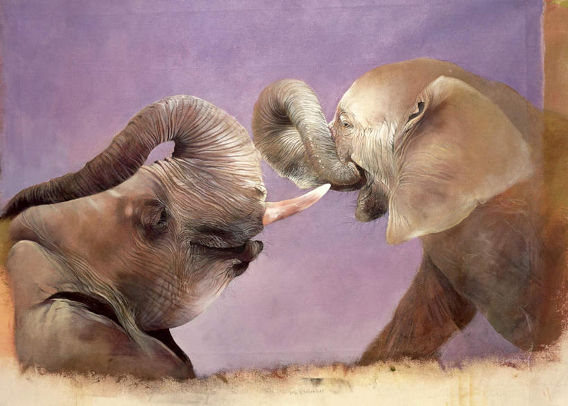 无人,横图,室内,白天,正面,绘画,哺乳动物,大象,野生动物,油画,两头,艺术,古典,注视,文化,相视,动物,工艺品,观察,看,品味,面对面,观看,对视,打架,美术,察看,高雅,互视,关注,相对,相看,美学,象,半身,彩图