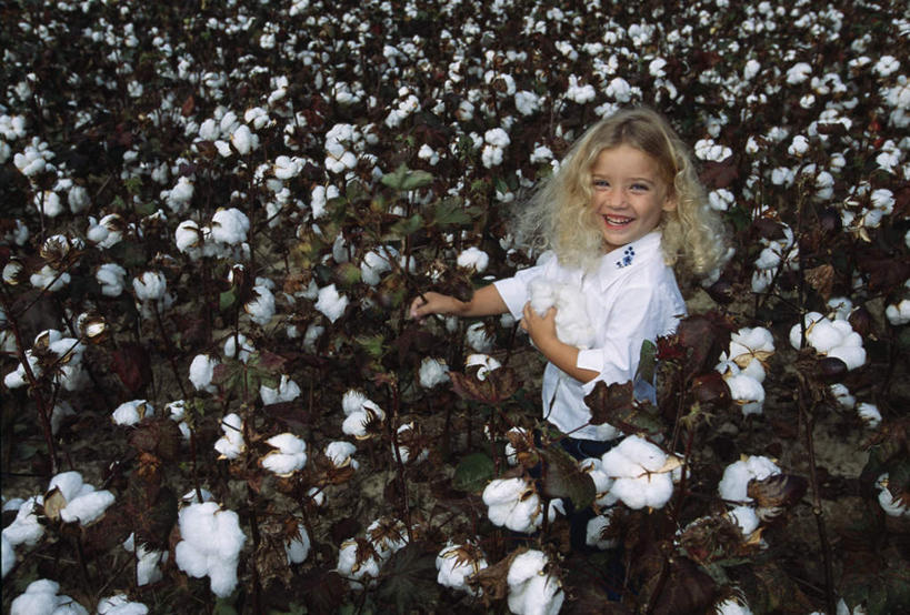 西方人,儿童,头发,一个人,站,笑,微笑,露齿笑,横图,俯视,室外,白天,纯洁,植物,欧洲,欧洲人,仅一个女性,仅一个人,握,服装,棉花,拿,拿着,注视,休闲装,小孩,衣服,绿色,自然,观察,看,站着,仅一个小孩,休闲,休闲服,金色,可爱,童年,童趣,握着,服饰,生长,成长,观看,察看,毛发,关注,童真,烂漫,无邪,天真,女孩,女人,女性,白种人,孩子,卷发,抬头,仰头,站立,半身,彩图,高角度拍摄,女生