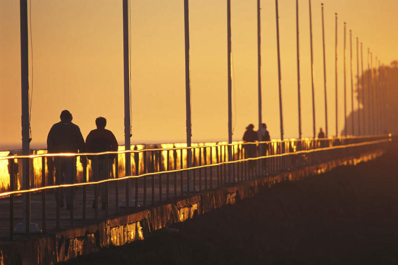 西方人,走,横图,室外,白天,日落,植物,大桥,立交桥,路灯,桥梁,照明,欧洲,欧洲人,一排,许多,整齐,晚霞,霞光,落日,高架,斜拉桥,桥,灯光,许多人,背光,灯,树,树木,排列,背面,绿色,自然,黄昏,一群人,彩霞,生长,成长,照亮,照明设备,队列,逆光,夕照,白种人,夕阳,步行,散步,走路,半身,彩图,斜阳