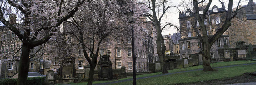 无人,家,横图,室外,白天,正面,旅游,度假,草地,草坪,美景,植物,窗户,城市风光,城市,建筑,英国,欧洲,一排,许多,阴影,整齐,并列,并排,光线,影子,房屋,墙,屋子,景观,公寓,首都,很多,娱乐,建设,洋房,楼房,苏格兰,玻璃窗,墙壁,墙面,住宅,草,树,树木,排列,绿色,阳光,自然,享受,休闲,景色,放松,生长,成长,西欧,队列,大不列颠,平行,大不列颠及北爱尔兰联合王国,首府,苏格兰王国,爱丁堡,彩图,房子,大不列颠王国,大英帝国,联合王国,日不落帝国