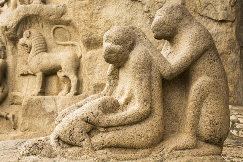 无人,坐,横图,室外,白天,侧面,旅游,度假,石头,标志建筑,地标,建筑,雕塑,印度,亚洲,阴影,节日,朦胧,模糊,艺术,装饰,光线,雕刻,雕像,石子,影子,文化,娱乐,建设,阳光,工艺品,祈祷,享受,休闲,健康,旅游胜地,放松,搭,许愿,宗教,信仰,纪念,祈求,美术,搭着,主题,南亚,陈列,印度共和国,功能,美学,泰米尔纳德邦,泰米尔纳德,马哈巴利普兰城,七寺城,平安,石块,岩石,坐着,彩图,全身