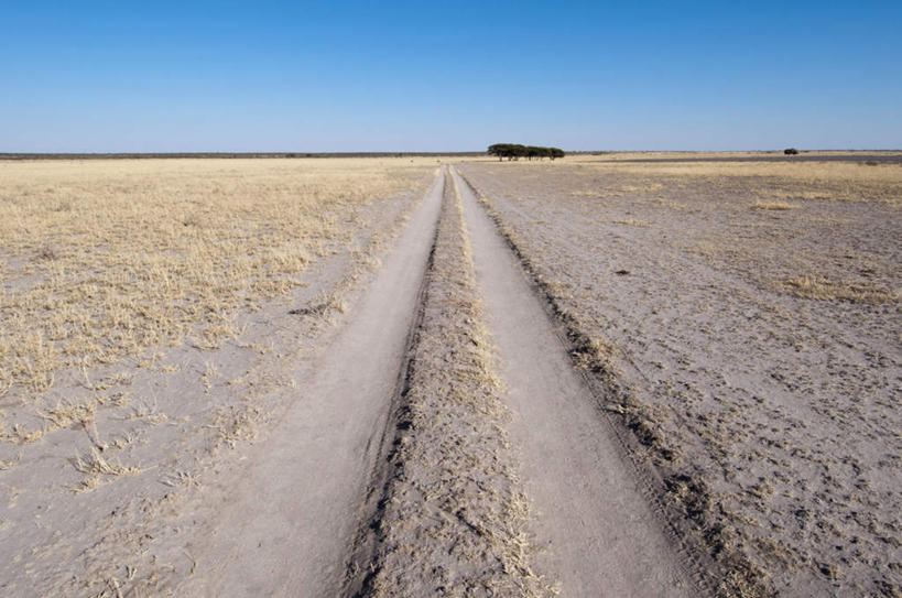 无人,横图,室外,白天,正面,旅游,度假,美景,沙漠,植物,道路,路,非洲,博茨瓦纳,阴影,光线,影子,地平线,景观,小路,辽阔,地面,交通,娱乐,树,树木,蓝色,绿色,蓝天,天空,阳光,自然,天,享受,休闲,广阔,景色,放松,乡间小路,生长,晴朗,成长,一望无际,国家公园,自然风光,延伸,万里无云,天地相交,波札那,博茨瓦纳共和国,无边无际,一马平川,卡拉哈迪大羚羊国家公园,卡拉哈迪沙漠,大漠,砂漠,晴空,晴空万里,彩图