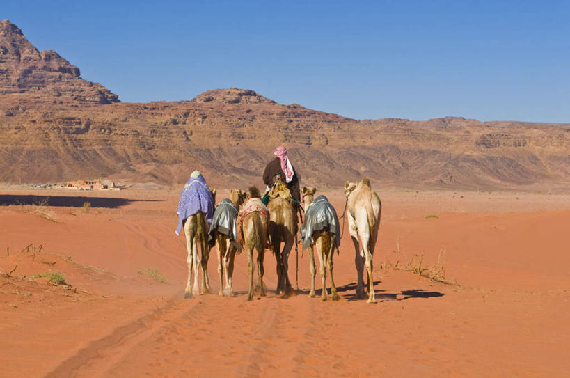东方人,两个人,坐,横图,室外,白天,民族服装,旅游,度假,石头,美景,沙漠,山,山脉,野生动物,约旦,亚洲,阴影,光线,沙子,石子,影子,景观,山顶,山峰,山峦,注视,黄种人,娱乐,骆驼,背面,蓝色,蓝天,天空,阳光,自然,动物,群山,天,观察,看,享受,休闲,景色,放松,运输,晴朗,观看,察看,关注,自然风光,西亚,沉积岩,万里无云,沙漠之舟,双峰骆驼,约旦哈希姆王国,颠峰,极峰,水成岩,瓦迪拉姆,瓦迪拉姆保护区,男人,男性,年轻男性,年轻女性,女人,女性,亚洲人,大漠,砂漠,石块,岩石,晴空,晴空万里,坐着,彩图,全身,传统服装,民俗服