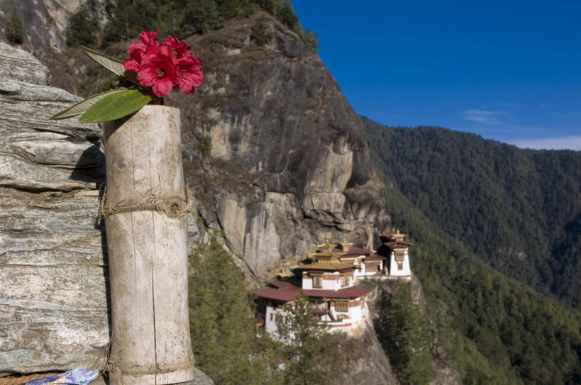 无人,横图,室外,白天,正面,旅游,度假,石头,山,山脉,标志建筑,地标,建筑,叶子,不丹,亚洲,阴影,节日,盛开,光线,石子,影子,山顶,山峰,云,云朵,绿叶,山峦,花蕾,云彩,文化,娱乐,建设,花,花瓣,花朵,鲜花,一朵,红色,蓝色,白云,蓝天,天空,阳光,群山,天,花苞,花蕊,祈祷,享受,休闲,健康,嫩叶,旅游胜地,放松,许愿,宗教,信仰,晴朗,纪念,祈求,基督教,天主教,修道院,南亚,信念,沉积岩,颠峰,极峰,不丹王国,水成岩,神学院,修院,隐修院,巴罗,虎穴寺,平安,叶,叶片,石块,岩石,晴空,彩图