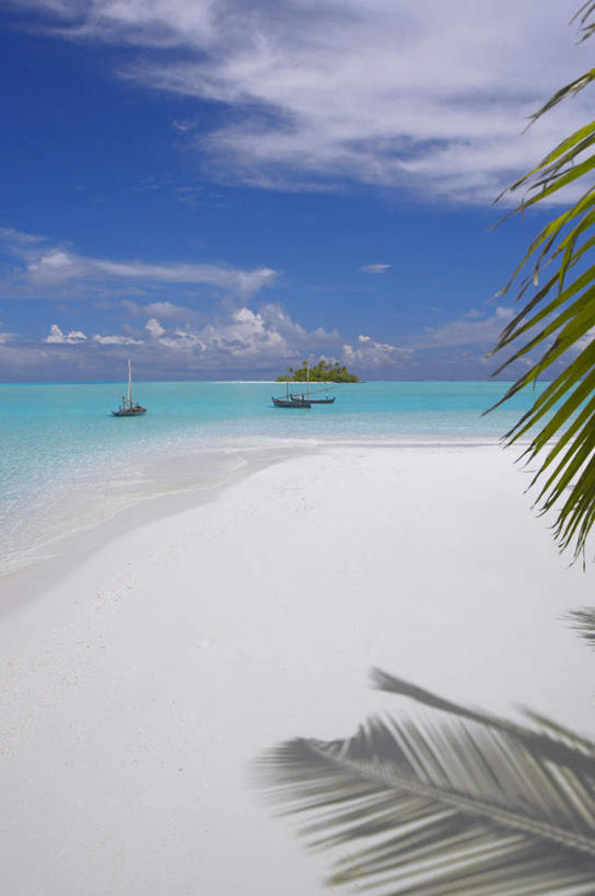 无人,竖图,室外,白天,正面,旅游,度假,海浪,海洋,美景,沙滩,植物,棕榈树,叶子,马尔代夫,亚洲,阴影,波纹,光线,沙子,影子,海岸,景观,浪花,水平线,云,云朵,辽阔,绿叶,海平线,涟漪,沙地,首都,云彩,娱乐,树,树木,蓝色,绿色,白云,倒影,蓝天,水纹,天空,阳光,自然,海水,波浪,天,享受,休闲,广阔,嫩叶,景色,放松,生长,晴朗,成长,一望无际,倒映,自然风光,南亚,海景,棕榈叶,水晕,马尔代夫共和国,无边无际,一马平川,反照,马累,叶,叶片,大海,风浪,海,海水的波动,海滩,近岸浪,涌浪,晴空,彩图,水天相接,水天一线