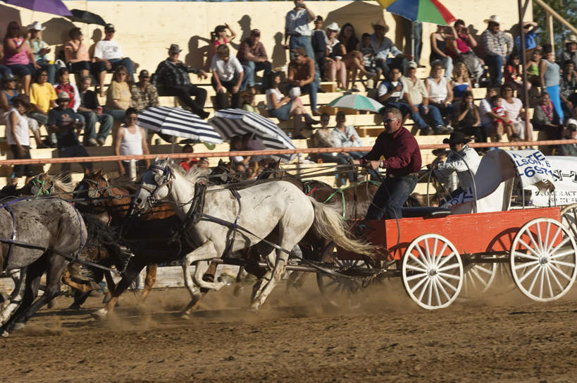 西方人,观众,站,坐,横图,室外,白天,旅游,度假,日落,马,野生动物,欧洲,加拿大,欧洲人,行人,游客,游人,服装,朦胧,模糊,伞,雨伞,遮阳伞,晚霞,霞光,落日,马车,许多人,注视,休闲装,娱乐,阳伞,路人,旅客,车,衣服,黄昏,动物,交通工具,观察,看,站着,一群人,享受,休闲,休闲服,彩霞,放松,运输,服饰,牲畜,观看,察看,北美,北美洲,飞奔,关注,载具,三匹,美洲,飞驰,北亚美利加洲,亚美利加洲,卑诗省,不列颠哥伦比亚,不列颠哥伦比亚省,夕照,过客,男人,男性,女人,女性,中年男性,中年女性,白种人,观赏人员,夕阳,站立,坐着,半身,彩图,斜阳
