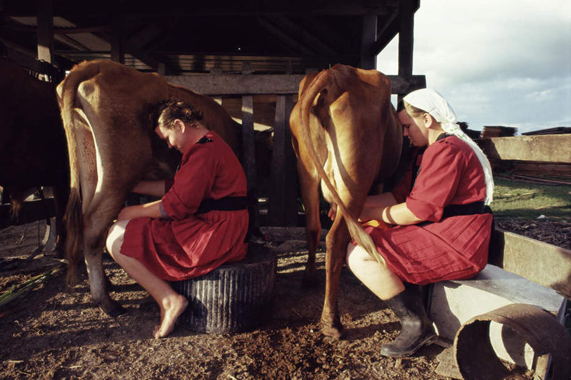 西方人,两个人,栏杆,坐,横图,室外,白天,侧面,马,野生动物,欧洲,伯利兹,欧洲人,阴影,光线,影子,栅栏,篱笆,云,云朵,围栏,云彩,注视,护栏,蓝色,白云,蓝天,天空,阳光,动物,天,观察,看,运输,牲畜,晴朗,观看,马棚,察看,中美洲,两匹,关注,美洲,亚美利加洲,中美,中亚美利加洲,年轻女性,女人,女性,白种人,晴空,坐着,彩图,全身,僧衣