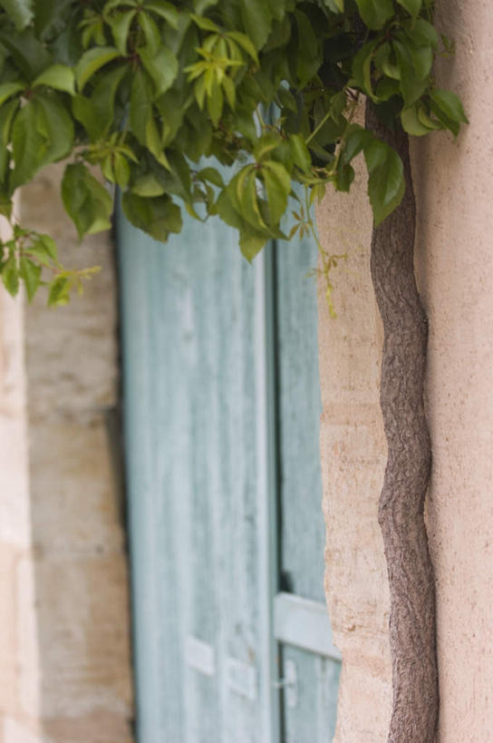 无人,家,竖图,室外,白天,正面,度假,美景,植物,门,城市风光,城市,叶子,法国,欧洲,阴影,透明,光线,影子,房屋,墙,屋子,景观,公寓,绿叶,娱乐,洋房,楼房,墙壁,墙面,住宅,树,树木,蓝色,绿色,阳光,自然,门框,享受,休闲,嫩叶,景色,放松,生长,成长,沃克吕兹省,法兰西共和国,法兰西第五共和国,理智,沉静,冷色,高深,冷淡,普罗旺斯.阿尔卑斯.蓝色海岸,叶,叶片,彩图,房子