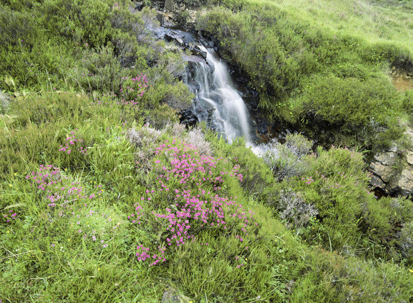 无人,横图,室外,白天,正面,旅游,度假,草地,草坪,河流,石头,美景,瀑布,水,植物,英国,欧洲,阴影,飞溅,朦胧,模糊,溅,光线,石子,液体,影子,河水,景观,水滴,水流,娱乐,苏格兰,水珠,草,绿色,小溪,阳光,自然,溪水,享受,休闲,景色,放松,庄重,西欧,喷洒,自然风光,大不列颠,沉积岩,大不列颠及北爱尔兰联合王国,威严,扇骨木,石南,石南花,石楠,石楠花,大不列颠联合王国,日不落英帝国,苏格兰王国,水成岩,孤独,跌水,石块,岩石,彩图