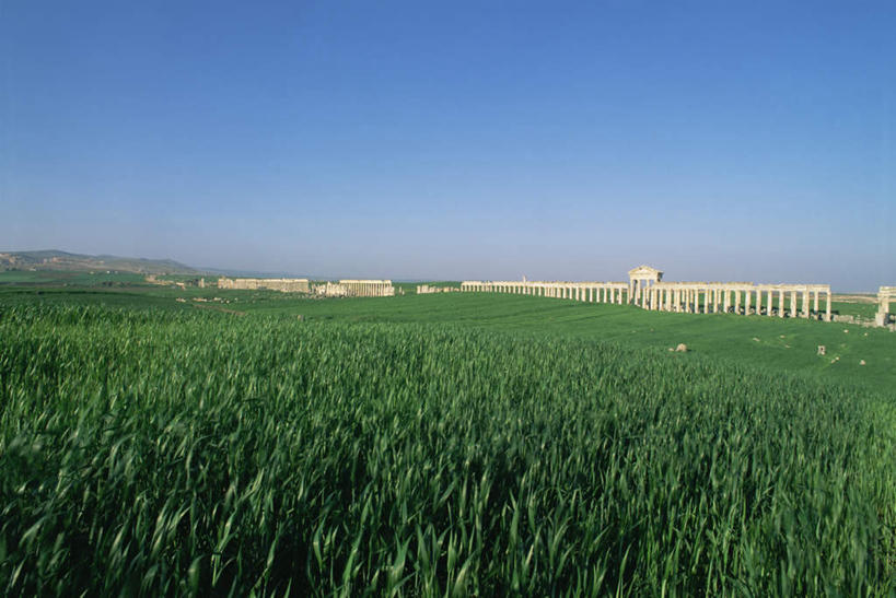 无人,农田,横图,室外,白天,正面,旅游,度假,农业,庄稼,农作物,美景,山,山脉,叙利亚,亚洲,阴影,新鲜,光线,影子,柱子,稻田,景观,山峰,谷物,山峦,娱乐,废墟,蓝色,绿色,蓝天,天空,阳光,自然,群山,天,享受,休闲,稻谷,稻子,景色,放松,晴朗,青春,生命,自然风光,西亚,和平,安详,万里无云,冷色,阿拉伯叙利亚共和国,晴空,晴空万里,彩图,耕地,庄稼田