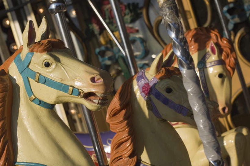 无人,游乐园,横图,室外,白天,正面,游戏,游乐场,马,野生动物,阴影,光线,木制,影子,玩,娱乐,阳光,动物,木制品,休闲,旋转木马,运输,牲畜,活动,发泄,消遣,智力,宣泄,乐园,玩耍,嬉戏,彩图