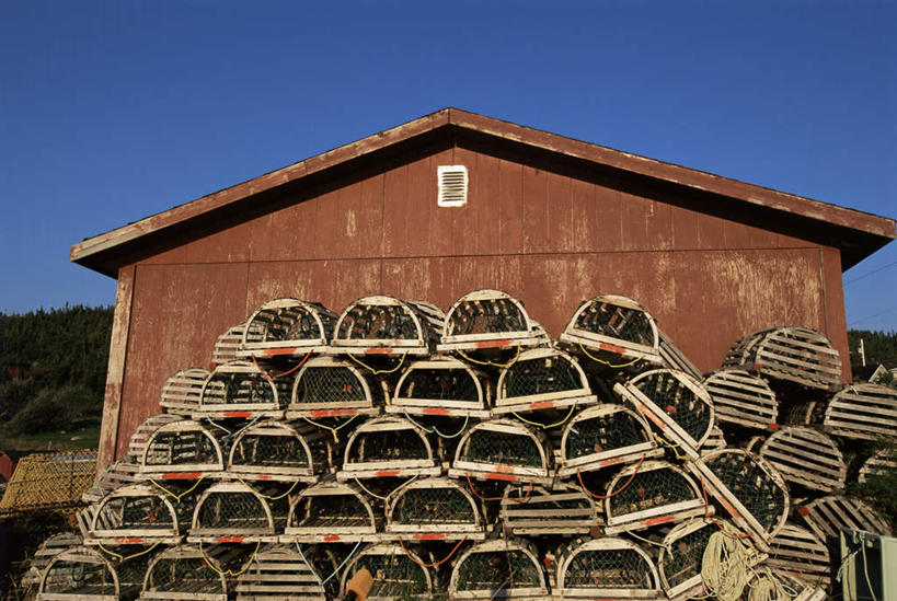 无人,家,木屋,横图,室外,白天,正面,度假,美景,树林,植物,城市风光,城市,加拿大,一排,阴影,整齐,光线,影子,景观,笼子,娱乐,住宅,树,树木,排列,蓝色,绿色,蓝天,天空,阳光,自然,天,享受,休闲,景色,放松,生长,渔网,晴朗,成长,渔具,北美,北美洲,队列,抓捕,美洲,捕捞,鱼网,万里无云,拉网,捕捞工具,北亚美利加洲,亚美利加洲,爱德华王子岛,晴空,晴空万里,彩图,茅舍,茅屋,棚屋,小木屋,小屋