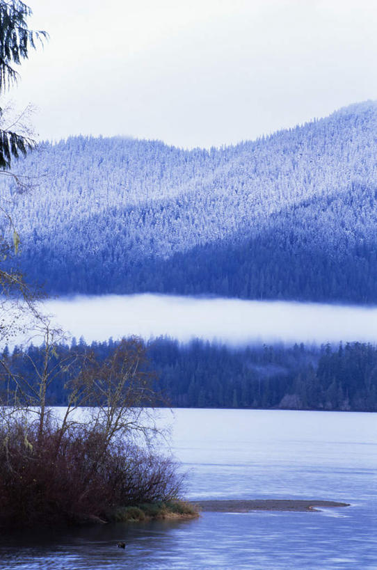 无人,公园,竖图,室外,白天,正面,旅游,度假,湖,湖泊,美景,森林,树林,水,雪,植物,雾,大雪,华盛顿,美国,波纹,朦胧,模糊,湖面,积雪,景观,水流,水面,雪景,冬季,冬天,涟漪,娱乐,树,树木,蓝色,绿色,倒影,蓝天,水纹,天空,自然,波浪,湖水,天,享受,休闲,景色,放松,寒冷,生长,晴朗,成长,迷雾,倒映,北美,北美洲,国家公园,自然风光,美洲,华盛顿州,奥林匹克国家公园,万里无云,首府,水晕,常绿之州,常青州,北亚美利加洲,亚美利加洲,严寒,奥林匹亚,奥林比亚,奥林佩亚,奥林匹克半岛,奥林匹亚国家公园,奥林比亚国家公园,奥林佩亚国家公园,反照,大雾,晴空,晴空万里,彩图