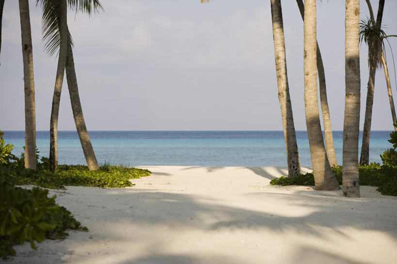 无人,横图,室外,白天,正面,旅游,度假,草地,草坪,海浪,海洋,美景,沙滩,树林,植物,棕榈树,叶子,马尔代夫,亚洲,许多,阴影,波纹,光线,沙子,影子,海岸,景观,浪花,绿叶,树荫,树桩,涟漪,沙地,很多,茁壮,凉爽,娱乐,草,树,树干,树木,蓝色,绿色,倒影,蓝天,水纹,天空,阳光,自然,海水,波浪,天,享受,休闲,嫩叶,木桩,景色,放松,茂盛,生长,晴朗,成长,繁茂,倒映,印度洋,自然风光,南亚,海景,棕榈叶,万里无云,水晕,兴旺,马尔代夫共和国,昌盛,反照,昌隆,畅旺,发达,蕃芜,繁盛,富强,隆盛,蓬勃,旺盛,兴隆,兴盛,郁勃,风凉,凉快,马累岛,叶,叶片,大海,风浪,海,海水的波动,海滩,近岸浪,涌浪,晴空,晴空万里,彩图