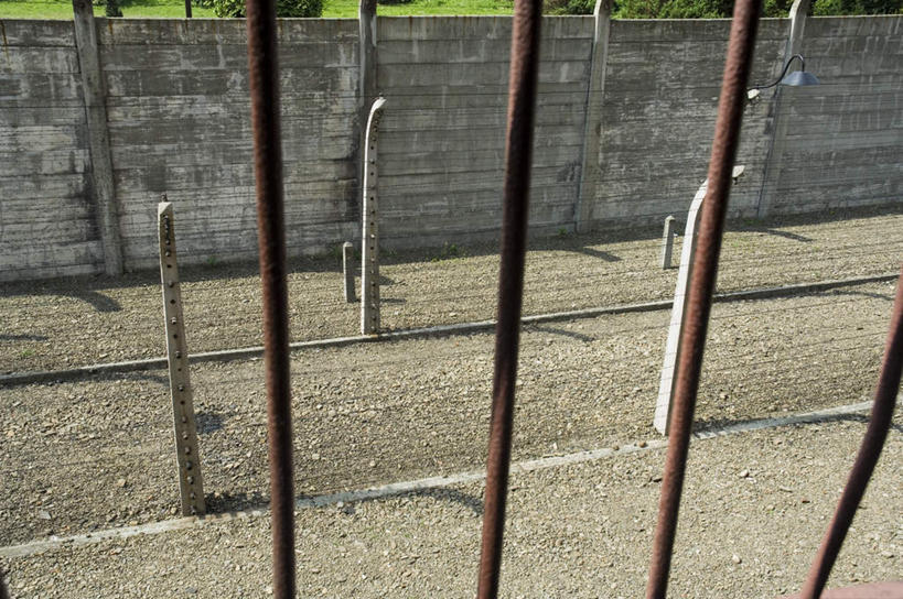 无人,栏杆,横图,俯视,室内,白天,度假,草地,草坪,美景,植物,城市风光,城市,道路,路,欧洲,波兰,阴影,光线,影子,栅栏,墙,景观,篱笆,围栏,小路,交通,娱乐,护栏,墙壁,墙面,草,树,树木,绿色,阳光,自然,享受,休闲,景色,放松,生长,成长,中欧,波兰共和国,奥斯维辛,克拉科夫,克拉科夫省,彩图,高角度拍摄