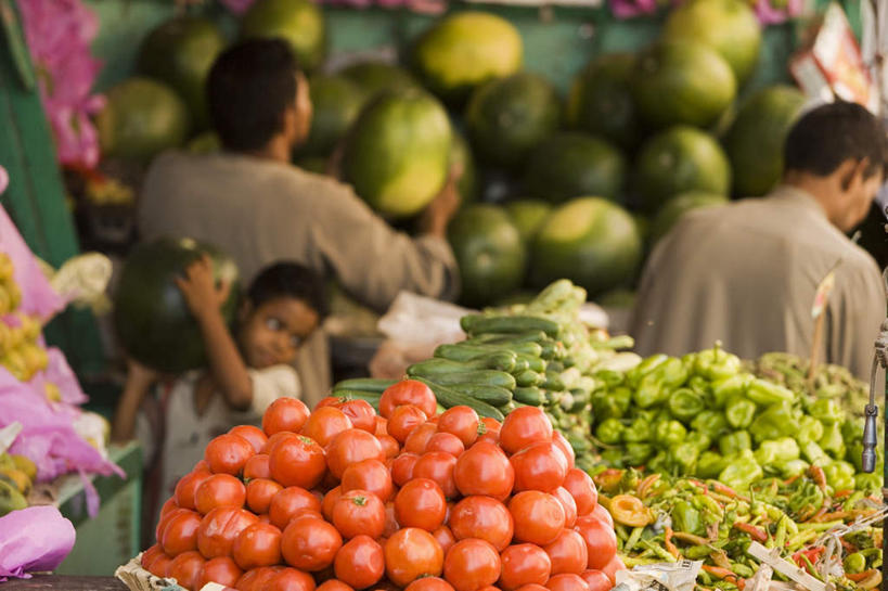 西方人,儿童,手,三个人,站,横图,室外,白天,正面,度假,纯洁,美景,城市风光,城市,蔬菜,西红柿,欧洲,非洲,埃及,开罗,黑人,欧洲人,一堆,许多,行人,游客,游人,握,阴影,堆积,服装,丰富,丰收,新鲜,光线,影子,景观,青椒,食品,市场,首都,丰盛,拿,拿着,注视,休闲装,娱乐,路人,旅客,食物,小孩,骑,衣服,阳光,观察,看,扛,站着,享受,休闲,手部,休闲服,景色,放松,可爱,童年,童趣,握着,服饰,有机食品,绿色食品,观看,堆,察看,古埃及,关注,童真,北非,烂漫,无邪,大椒,首府,阿拉伯埃及共和国,金字塔之国,棉花之国,菜椒,阿非利加洲,开罗省,丰登,丰硕,过客,扛在肩上,骑在肩上,天真,男孩,男人,男性,非洲人,甜椒,柿子椒,番茄,灯笼椒,站立,半身,彩图,男生