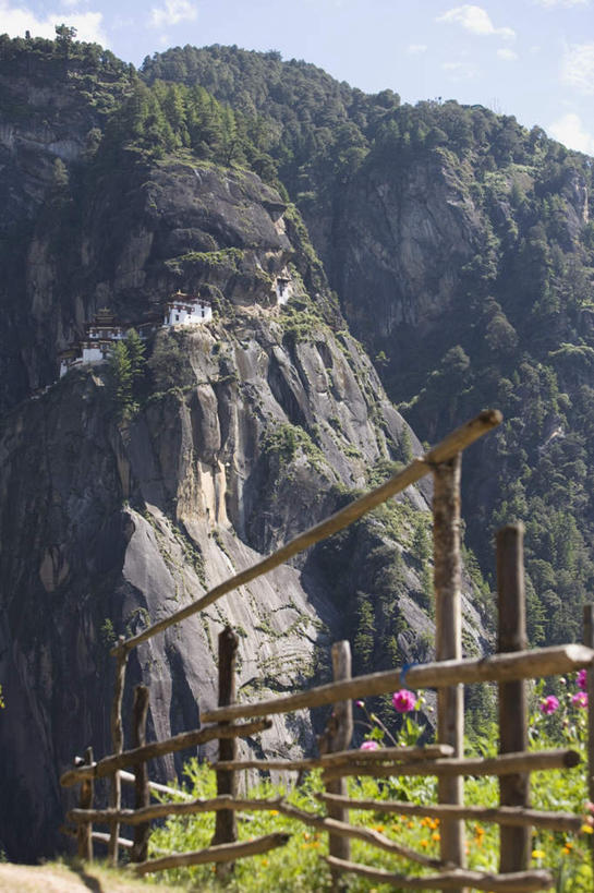 无人,栏杆,竖图,室外,白天,仰视,旅游,度假,草地,草坪,美景,山,山脉,树林,植物,标志建筑,道路,地标,建筑,路,不丹,亚洲,阴影,节日,生气,盛开,光线,影子,栅栏,墙,屋顶,景观,篱笆,山峰,云,云朵,围栏,小路,交通,山峦,花蕾,云彩,顶棚,文化,娱乐,建设,护栏,墙壁,墙面,草,花,花瓣,花朵,鲜花,树,树木,蓝色,绿色,白云,蓝天,天空,阳光,自然,群山,天,花苞,花蕊,祈祷,享受,休闲,健康,旅游胜地,景色,放松,活力,许愿,宗教,信仰,茂盛,生长,晴朗,成长,纪念,生机,祈求,连绵,繁茂,基督教,绵延,天主教,自然风光,修道院,南亚,信念,兴旺,昌盛,绵亘,昌隆,畅旺,发达,蕃芜,繁盛,富强,隆盛,蓬勃,旺盛,兴隆,兴盛,郁勃,不丹王国,活气,神学院,修院,隐修院,巴罗,虎穴寺,平安,晴空,彩图,低角度拍摄