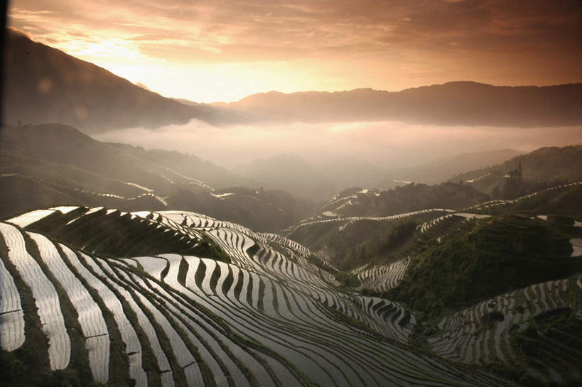 无人,农田,横图,俯视,室外,白天,旅游,度假,庄稼,梯田,农作物,草地,草坪,石头,美景,日落,山,山脉,植物,雾,中国,亚洲,朦胧,模糊,曲折,弯曲,石子,景观,山峰,晚霞,霞光,落日,山峦,娱乐,草,树,树木,绿色,自然,黄昏,群山,享受,休闲,景色,彩霞,放松,蜿蜒,生长,成长,广西,迷雾,自然风光,东亚,龙胜,龙脊梯田,广西壮族自治区,中华人民共和国,桂,华南地区,夕照,龙胜各族自治县,和平乡,龙胜梯田,平安村,石块,岩石,大雾,夕阳,彩图,高角度拍摄,耕地,庄稼田,斜阳
