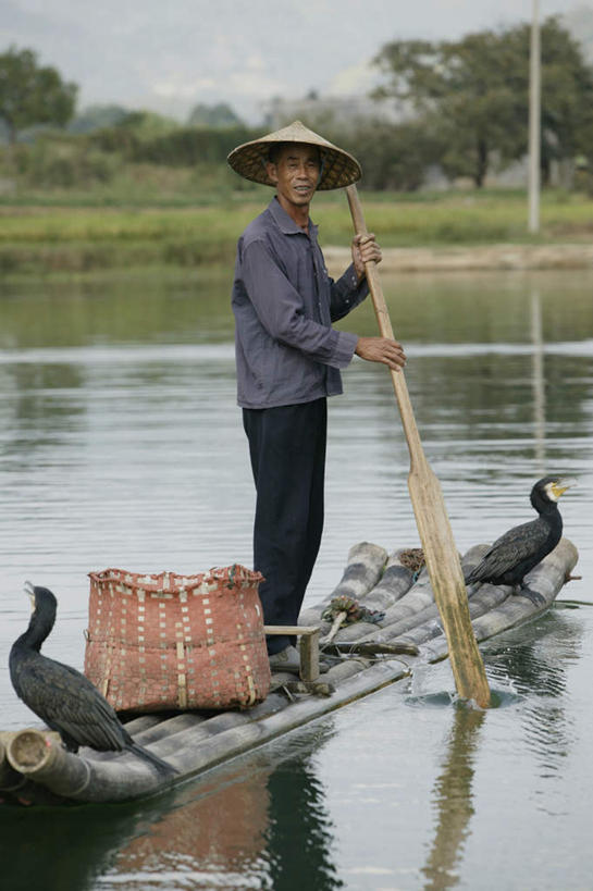 东方人,一个人,站,竖图,室外,白天,正面,旅游,度假,草地,草坪,河流,美景,水,植物,鸟,帽子,中国,亚洲,仅一个男性,仅一个人,仅一个中年男性,一排,握,波纹,竹制,服装,整齐,编织,鸬鹚,鸟类,草帽,竹排,河水,景观,水流,运输工具,涟漪,拿,拿着,注视,休闲装,黄种人,娱乐,捕鱼,少数民族,竹筏,草,树,树木,排列,衣服,绿色,倒影,水纹,自然,交通工具,波浪,观察,看,站着,两只,享受,休闲,休闲服,景色,放松,握着,服饰,生长,成长,观看,广西,竹条,察看,倒映,竹制品,队列,关注,自然风光,载具,鱼鹰,水老鸦,东亚,龙胜,龙脊梯田,广西壮族自治区,中华人民共和国,桂,华南地区,水晕,反照,龙胜各族自治县,水上交通工具,黎族,和平乡,龙胜梯田,平安村,男人,男性,中年男性,亚洲人,站立,彩图,全身