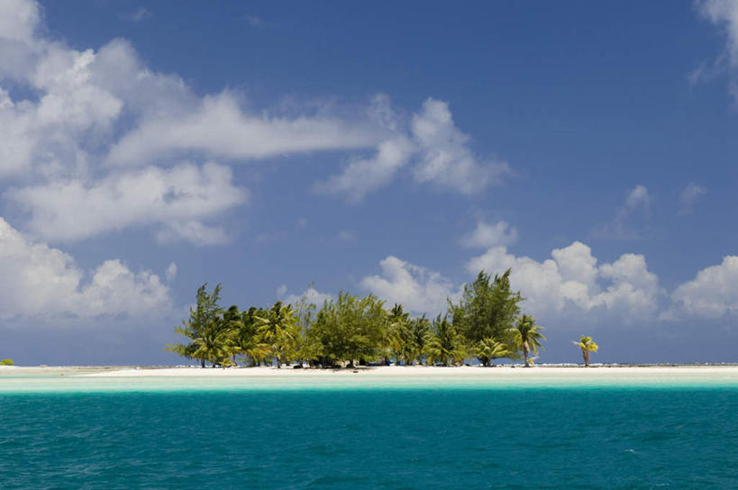 无人,横图,室外,白天,正面,旅游,度假,海浪,海洋,美景,植物,棕榈树,叶子,法国,欧洲,景观,浪花,云,云朵,绿叶,云彩,娱乐,树,树木,蓝色,绿色,白云,蓝天,天空,自然,海水,天,享受,休闲,嫩叶,景色,放松,生长,晴朗,成长,自然风光,海景,棕榈叶,波利尼西亚,法属波利尼西亚,法兰西共和国,法兰西第五共和国,土阿莫土群岛,叶,叶片,大海,风浪,海,海水的波动,近岸浪,涌浪,晴空,彩图