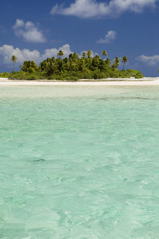 无人,竖图,室外,白天,正面,旅游,度假,海浪,海洋,美景,植物,棕榈树,叶子,法国,欧洲,景观,浪花,云,云朵,绿叶,云彩,娱乐,树,树木,蓝色,绿色,白云,蓝天,天空,自然,海水,天,享受,休闲,嫩叶,景色,放松,生长,晴朗,成长,自然风光,海景,棕榈叶,波利尼西亚,法属波利尼西亚,法兰西共和国,法兰西第五共和国,土阿莫土群岛,叶,叶片,大海,风浪,海,海水的波动,近岸浪,涌浪,晴空,彩图