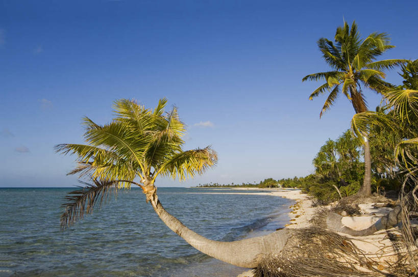 无人,横图,室外,白天,正面,旅游,度假,海浪,海洋,美景,沙滩,植物,棕榈树,叶子,法国,欧洲,沙子,海岸,景观,浪花,云,云朵,绿叶,沙地,云彩,娱乐,树,树木,蓝色,绿色,白云,蓝天,天空,自然,海水,天,享受,休闲,嫩叶,景色,放松,生长,晴朗,成长,自然风光,海景,棕榈叶,波利尼西亚,法属波利尼西亚,法兰西共和国,法兰西第五共和国,土阿莫土群岛,叶,叶片,大海,风浪,海,海水的波动,海滩,近岸浪,涌浪,晴空,彩图