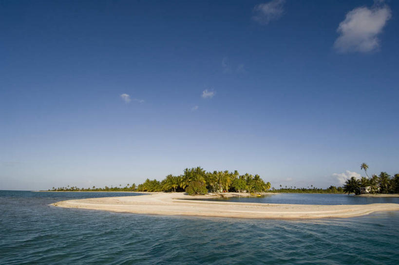 无人,横图,室外,白天,正面,旅游,度假,海浪,海洋,美景,沙滩,植物,棕榈树,叶子,法国,欧洲,沙子,海岸,景观,浪花,云,云朵,绿叶,沙地,云彩,娱乐,树,树木,蓝色,绿色,白云,蓝天,天空,自然,海水,天,享受,休闲,嫩叶,景色,放松,生长,晴朗,成长,自然风光,海景,棕榈叶,波利尼西亚,法属波利尼西亚,法兰西共和国,法兰西第五共和国,土阿莫土群岛,叶,叶片,大海,风浪,海,海水的波动,海滩,近岸浪,涌浪,晴空,彩图