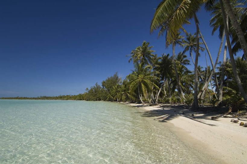 无人,横图,室外,白天,正面,旅游,度假,海浪,海洋,美景,沙滩,植物,棕榈树,叶子,法国,欧洲,沙子,海岸,景观,浪花,云,云朵,绿叶,沙地,云彩,娱乐,树,树木,蓝色,绿色,白云,蓝天,天空,自然,海水,天,享受,休闲,嫩叶,景色,放松,生长,晴朗,成长,自然风光,海景,棕榈叶,波利尼西亚,法属波利尼西亚,法兰西共和国,法兰西第五共和国,土阿莫土群岛,叶,叶片,大海,风浪,海,海水的波动,海滩,近岸浪,涌浪,晴空,彩图