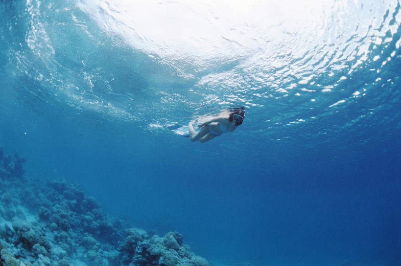 游泳,西方人,一个人,横图,室外,白天,仰视,锻炼,旅游,度假,运动,海底,水下,海浪,海洋,美景,法国,欧洲,欧洲人,仅一个年轻女性,仅一个女性,仅一个人,景观,浪花,水底,娱乐,自然,海水,享受,休闲,景色,放松,海底世界,潜水,自然风光,海景,波利尼西亚,法属波利尼西亚,法兰西共和国,潜水运动,法兰西第五共和国,土阿莫土群岛,体育,年轻女性,女人,女性,白种人,大海,风浪,海,海床,海水的波动,近岸浪,涌浪,彩图,低角度拍摄,全身,健身