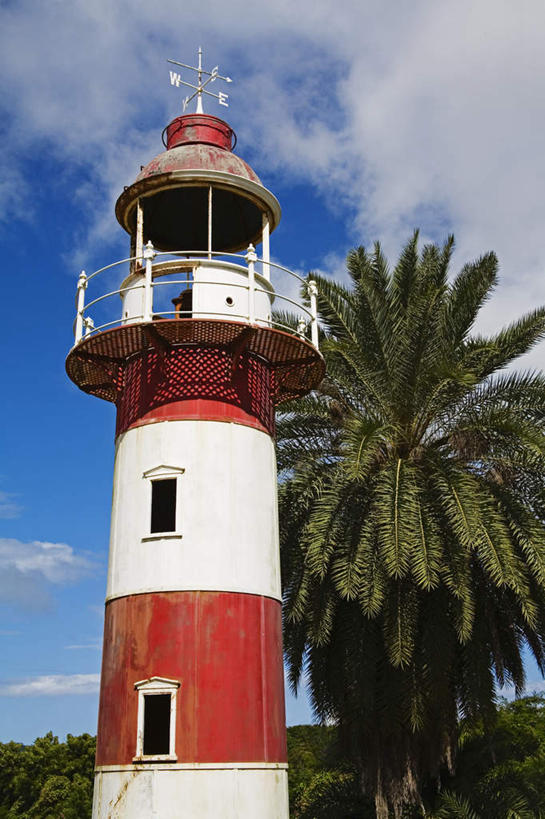 无人,竖图,室外,白天,仰视,旅游,度假,美景,植物,道路,棕榈树,叶子,阴影,光线,信息,影子,景观,云,云朵,绿叶,灯塔,交通,云彩,方向,娱乐,树,树木,蓝色,绿色,白云,蓝天,天空,阳光,自然,天,享受,休闲,嫩叶,景色,南美,放松,生长,晴朗,成长,引导,指引,南美洲,荷属安的列斯,西印度群岛,拉丁美洲,自然风光,美洲,棕榈叶,荷属安的列斯群岛,亚美利加洲,南亚美利加洲,航标,叶,叶片,晴空,彩图,低角度拍摄,导航