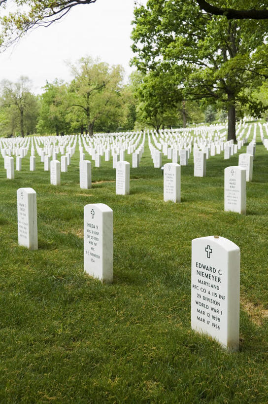 无人,竖图,室外,白天,正面,旅游,度假,草地,草坪,植物,标志建筑,地标,建筑,美国,一排,许多,阴影,生气,整齐,光线,英文,标志,文字,影子,字符,字母,很多,娱乐,标识,建设,草,树,树木,排列,蓝色,绿色,白色,蓝天,天空,阳光,自然,墓碑,天,享受,休闲,公墓,旅游胜地,放松,活力,茂盛,生长,晴朗,成长,生机,英文字母,繁茂,卫生,北美洲,队列,美洲,纯真,万里无云,弗吉尼亚,弗吉尼亚州,阿灵顿国家公墓,阿灵顿,北亚美利加洲,亚美利加洲,维吉尼亚,老自治领州,兴旺,洁净,光明,昌盛,恬静,中间色,朴素,清白,阿灵顿县,昌隆,畅旺,发达,蕃芜,繁盛,富强,隆盛,蓬勃,旺盛,兴隆,兴盛,郁勃,活气,阿灵顿公墓,晴空,晴空万里,彩图