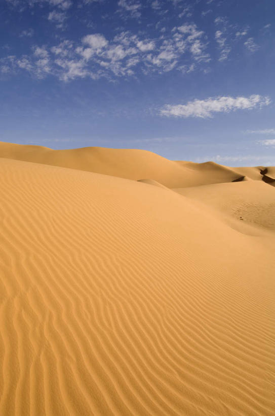 无人,竖图,室外,白天,正面,旅游,度假,美景,沙漠,非洲,利比亚,阴影,波纹,光线,影子,景观,云,云朵,涟漪,沙丘,云彩,娱乐,蓝色,白云,蓝天,天空,阳光,自然,波浪,天,享受,休闲,景色,放松,高低,晴朗,凹凸,自然风光,洼地,北非,阿非利加洲,崎岖,撒哈拉沙漠,大漠,砂漠,晴空,彩图