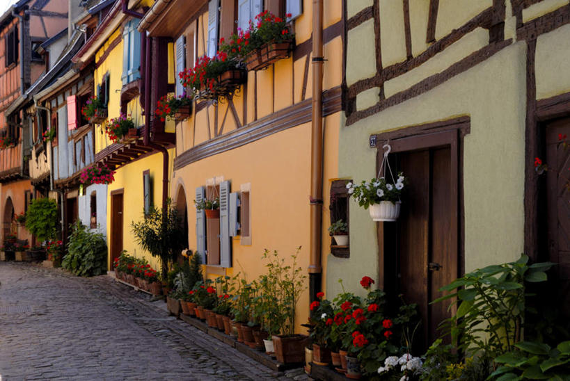 无人,家,横图,室外,白天,正面,度假,美景,植物,城市风光,城市,法国,欧洲,阴影,装饰,光线,盆栽,影子,房屋,墙,屋子,景观,盆景,娱乐,楼房,墙壁,墙面,住宅,绿色,阳光,自然,享受,休闲,景色,放松,生长,成长,华丽,修饰,点缀,阿尔萨斯,法兰西共和国,衬托,美观,雅致,雅观,法兰西第五共和国,阿尔萨斯大区,彩图,房子