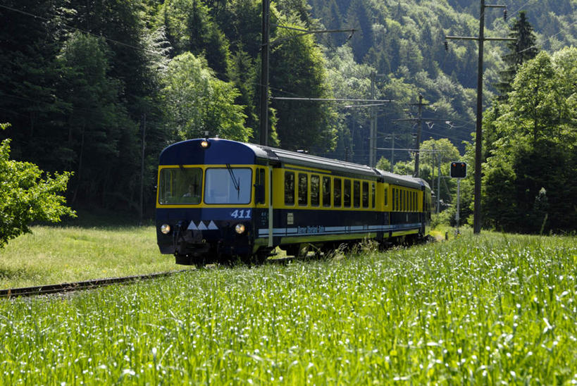 无人,横图,室外,白天,正面,旅游,度假,草地,草坪,美景,树林,植物,火车,瑞士,欧洲,一辆,阴影,光线,标志,数字,文字,影子,字符,景观,娱乐,标识,车,草,树,树木,绿色,阳光,自然,交通工具,享受,休闲,景色,放松,阿拉伯数字,生长,成长,自然风光,载具,中欧,瑞士联邦,彩图