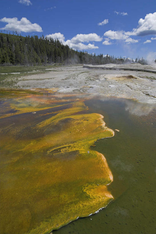无人,竖图,室外,白天,正面,石头,美景,山,山脉,树林,温泉,植物,雾,微生物,美国,阴影,沸腾,光线,医学,蒸汽,石子,影子,景观,山峰,云,云朵,山峦,水蒸气,雾气,云彩,树,树木,蓝色,绿色,白云,蓝天,天空,阳光,自然,群山,天,温暖,生物,景色,泉水,生长,温和,晴朗,成长,气体,医疗,病毒,生物学,北美,北美洲,自然风光,美洲,怀俄明州,怀俄明,蒸发,北亚美利加洲,亚美利加洲,平等之州,寄生,生命体,生物病毒,瘟疫,地热,藻青菌,石块,岩石,晴空,彩图