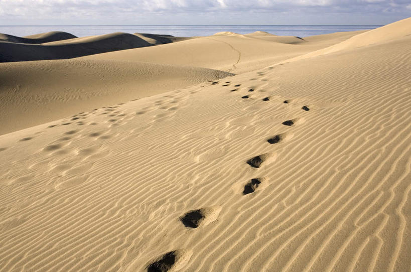 无人,横图,室外,白天,正面,旅游,度假,美景,沙漠,西班牙,欧洲,一排,脚印,阴影,整齐,光线,影子,景观,云,云朵,云彩,娱乐,排列,蓝色,白云,蓝天,天空,阳光,自然,天,享受,休闲,景色,放松,高低,晴朗,凹凸,足迹,加纳利群岛,队列,南欧,自然风光,加那利群岛,洼地,西班牙王国,行踪,脚迹,崎岖,大漠,砂漠,晴空,彩图