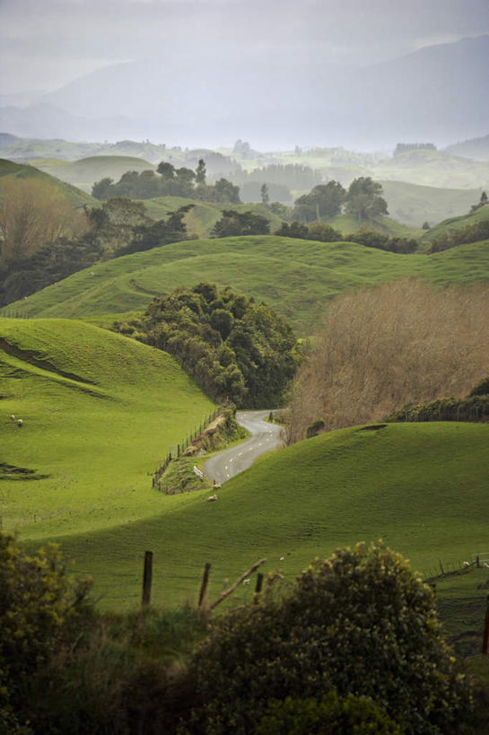 无人,农场,栏杆,站,竖图,俯视,室外,白天,旅游,度假,畜牧业,牧场,草地,草坪,美景,山,山脉,植物,道路,路,公路,羊,新西兰,一群,许多,阴影,曲折,弯曲,光线,影子,栅栏,景观,篱笆,山顶,山峰,乌云,云,云朵,围栏,交通,山峦,很多,云彩,注视,娱乐,护栏,草,树,树木,绿色,白云,阳光,自然,动物,群山,观察,看,站着,享受,休闲,家畜,景色,放松,牲畜,蜿蜒,生长,成长,观看,察看,关注,自然风光,大洋洲,畜牧,牧业,纽西兰,长白云之乡,颠峰,极峰,马路,绵羊,站立,彩图,高角度拍摄,全身