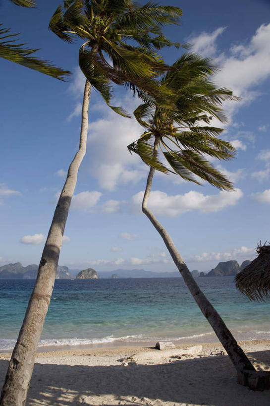 无人,竖图,室外,白天,正面,旅游,度假,岛屿,海浪,海洋,石头,美景,沙滩,植物,棕榈树,叶子,菲律宾,亚洲,阴影,光线,沙子,石子,影子,岛,海岸,景观,浪花,云,云朵,绿叶,沙地,云彩,娱乐,树,树木,蓝色,绿色,白云,蓝天,天空,阳光,自然,海水,天,享受,休闲,嫩叶,景色,放松,东南亚,生长,晴朗,成长,自然风光,海景,棕榈叶,沉积岩,菲律宾共和国,巴拉望,巴拉望岛,水成岩,叶,叶片,大海,风浪,海,海水的波动,海滩,近岸浪,列岛,群岛,石块,岩石,涌浪,诸岛,晴空,彩图