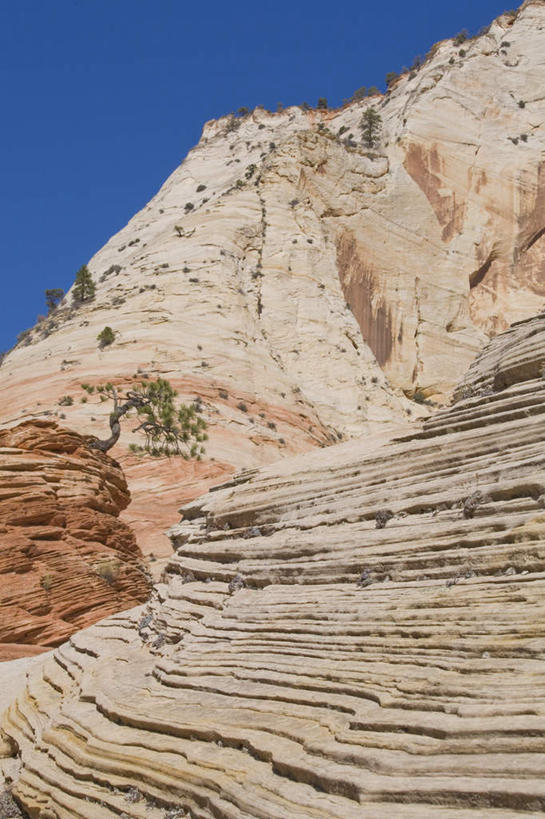 无人,竖图,室外,白天,仰视,旅游,度假,石头,名胜古迹,山,山脉,植物,标志建筑,地标,建筑,美国,阴影,遗迹,光线,石子,影子,山峰,山峦,古迹,文物,娱乐,建设,古建筑,树,树木,蓝色,绿色,蓝天,天空,阳光,自然,群山,天,享受,休闲,旅游胜地,放松,生长,晴朗,成长,北美,北美洲,犹他州,美洲,多层,古文明,万里无云,北亚美利加洲,亚美利加洲,犹他,蜂窝之州,蜂房州,石块,岩石,晴空,晴空万里,彩图,低角度拍摄