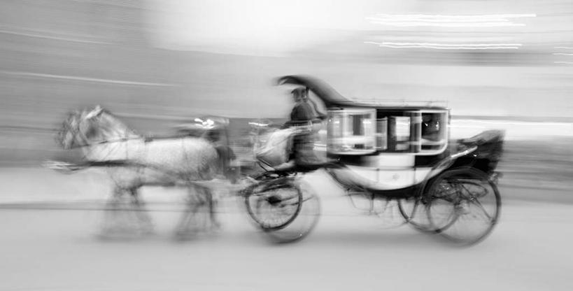 西方人,一个人,坐,横图,黑白,室外,白天,侧面,旅游,度假,美景,欧洲,波兰,欧洲人,仅一个男性,仅一个人,阴影,朦胧,模糊,光线,影子,景观,马车,娱乐,车,仅一个年轻男性,阳光,自然,交通工具,驾驶,享受,休闲,景色,放松,快速,自然风光,载具,中欧,快捷,疾速,倏地,波兰共和国,克拉科夫,克拉科夫省,男人,男性,年轻男性,白种人,坐着,全身