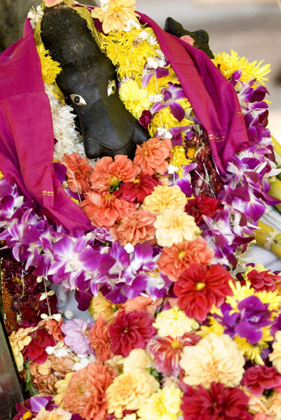 无人,花园,竖图,俯视,室外,特写,白天,旅游,度假,花圃,雕塑,圭亚那,阴影,朦胧,模糊,艺术,装饰,盛开,光线,雕刻,雕像,影子,首都,花蕾,娱乐,花,花瓣,花朵,鲜花,阳光,工艺品,花苞,花蕊,享受,休闲,南美,放松,纪念,美术,南美洲,拉丁美洲,主题,美洲,陈列,功能,美学,亚美利加洲,南亚美利加洲,圭亚那合作共和国,乔治敦,小花园,彩图,高角度拍摄