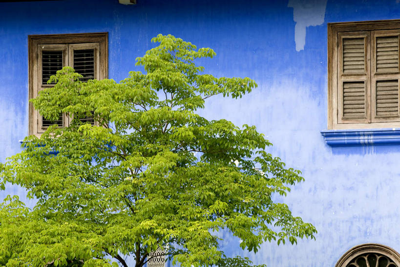 无人,横图,室外,白天,正面,旅游,度假,植物,窗户,落地窗,圭亚那,阴影,光线,影子,墙,首都,娱乐,玻璃窗,墙壁,墙面,树,树木,绿色,阳光,自然,享受,休闲,南美,放松,生长,成长,南美洲,拉丁美洲,美洲,亚美利加洲,南亚美利加洲,圭亚那合作共和国,乔治敦,彩图