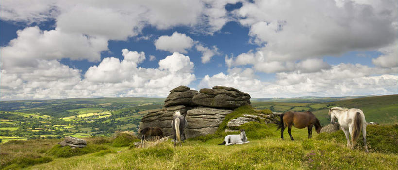 无人,家,农田,站,吃,横图,室外,白天,庄稼,农作物,草地,草坪,石头,美景,山,山脉,植物,马,野生动物,英国,欧洲,阴影,丰富,丰收,光线,石子,影子,房屋,屋子,景观,山峰,云,云朵,山峦,丰盛,云彩,楼房,英格兰,五匹,住宅,草,树,树木,排列,背面,蓝色,绿色,白云,蓝天,天空,阳光,自然,动物,群山,天,低头,趴着,站着,景色,运输,牲畜,生长,晴朗,成长,西欧,自然风光,大不列颠,大不列颠及北爱尔兰联合王国,垂头,大不列颠联合王国,日不落英帝国,摆列,丰登,丰硕,英吉利,萨默塞特郡,萨默塞特,石块,岩石,晴空,嚼,趴,食,站立,彩图,全身,耕地,庄稼田,房子,布列,分列