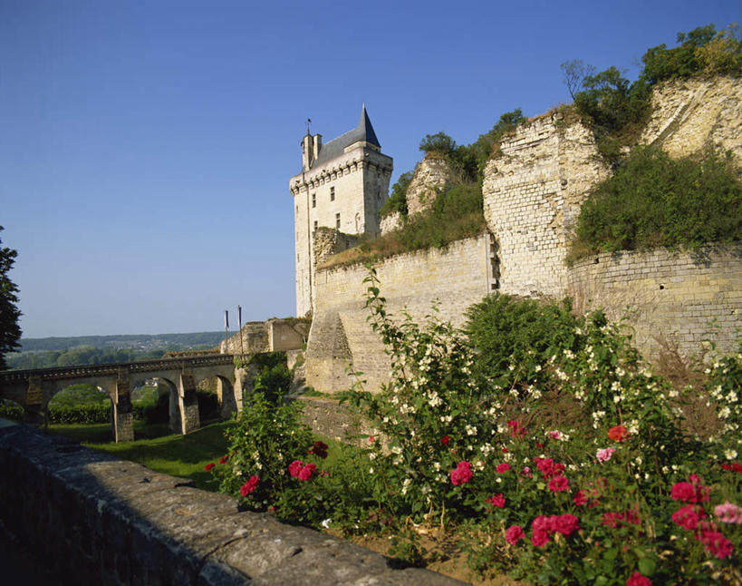 无人,横图,室外,白天,正面,旅游,度假,石头,美景,法国,欧洲,阴影,盛开,光线,石子,影子,堡垒,城堡,景观,桥,花蕾,娱乐,石桥,拱桥,栈桥,花,花瓣,花朵,鲜花,蓝色,蓝天,天空,阳光,自然,天,花苞,花蕊,享受,休闲,景色,放松,拱形,人行桥,石拱桥,要塞,自然风光,法兰西共和国,卢瓦尔河地区,法兰西第五共和国,卢瓦尔,卢瓦尔大区,卢瓦尔河大区,设防,石块,彩图