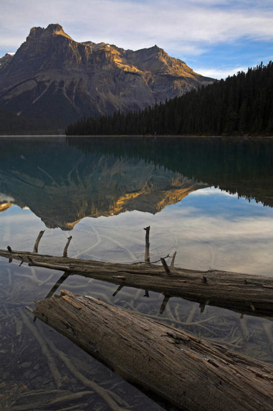 无人,公园,竖图,室外,白天,正面,旅游,度假,湖,湖泊,美景,山,山脉,水,加拿大,阴影,光线,影子,湖面,景观,山峰,水流,水面,云,云朵,树桩,山峦,云彩,娱乐,树,树干,蓝色,白云,蓝天,天空,阳光,自然,湖水,群山,天,享受,休闲,木桩,景色,放松,晴朗,北美,北美洲,国家公园,自然风光,美洲,北亚美利加洲,亚美利加洲,卑诗省,不列颠哥伦比亚,不列颠哥伦比亚省,优鹤国家公园,幽鹤国家公园,晴空,彩图