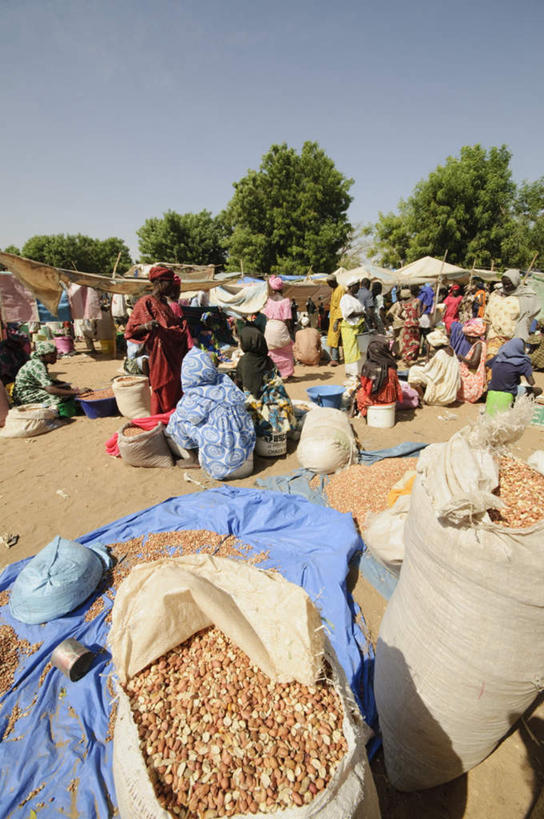 无人,竖图,室外,白天,正面,旅游,度假,美景,植物,非洲,塞内加尔,一堆,阴影,堆叠,堆积,光线,影子,景观,坚果,果实,娱乐,买卖,树,树木,蓝色,绿色,蓝天,天空,阳光,自然,干果,天,享受,休闲,生意,景色,放松,生长,成长,堆,交易,自然风光,塞内加尔共和国,西非,彩图