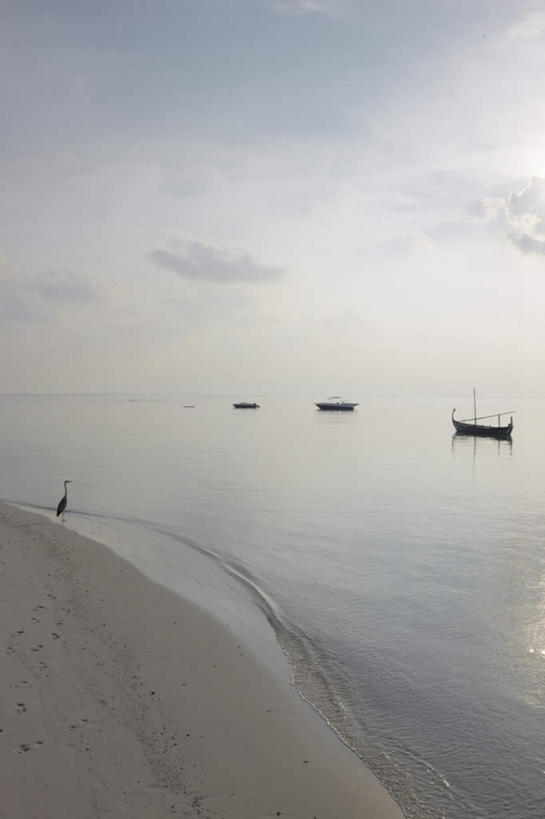 无人,竖图,室外,白天,正面,旅游,度假,美景,沙滩,船,马尔代夫,亚洲,阴影,光线,沙子,影子,海岸,景观,水平线,辽阔,木船,海平线,沙地,娱乐,天空,阳光,自然,交通工具,天,享受,休闲,广阔,景色,放松,一望无际,舟,自然风光,载具,南亚,马尔代夫共和国,无边无际,一马平川,马累岛,海滩,彩图,水天相接,水天一线