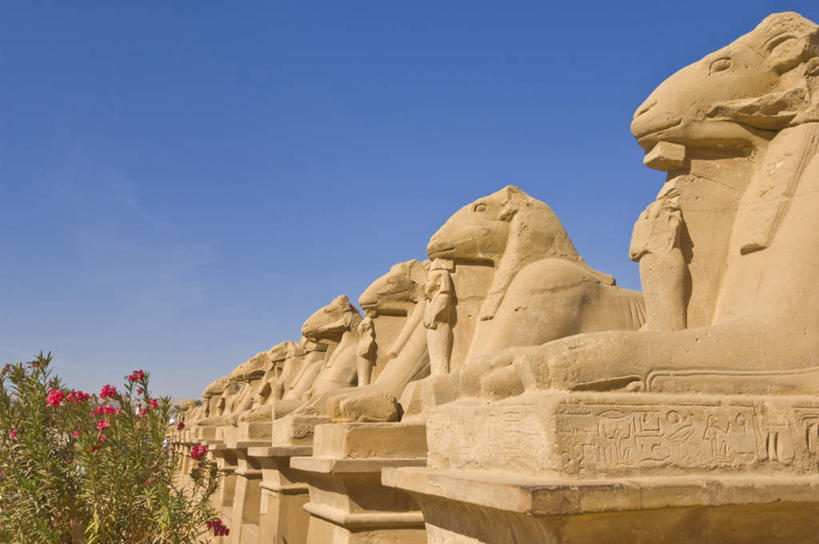 无人,横图,室外,白天,正面,旅游,度假,美景,植物,雕塑,非洲,埃及,一排,阴影,艺术,整齐,装饰,光线,雕刻,雕像,影子,景观,娱乐,排列,蓝色,绿色,蓝天,天空,阳光,自然,工艺品,天,享受,休闲,景色,放松,生长,成长,纪念,美术,古埃及,队列,自然风光,主题,陈列,北非,阿拉伯埃及共和国,金字塔之国,棉花之国,功能,美学,阿非利加洲,底比斯,百门之都,彩图