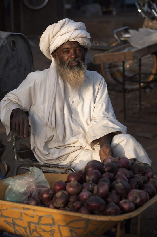 西方人,一个人,坐,竖图,室外,白天,正面,购物,消费,蔬菜,洋葱,欧洲,非洲,苏丹,黑人,欧洲人,仅一个男性,仅一个人,一堆,许多,握,堆叠,堆积,新鲜,食品,集市,市场,很多,拿,拿着,注视,货摊,食物,观察,看,仅一个老年男性,握着,金融,有机食品,绿色食品,观看,地摊,堆,察看,关注,选购,贸易,北非,阿非利加洲,苏丹共和国,老年男性,男人,男性,非洲人,圆葱,洋葱头,球葱,坐着,半身,彩图