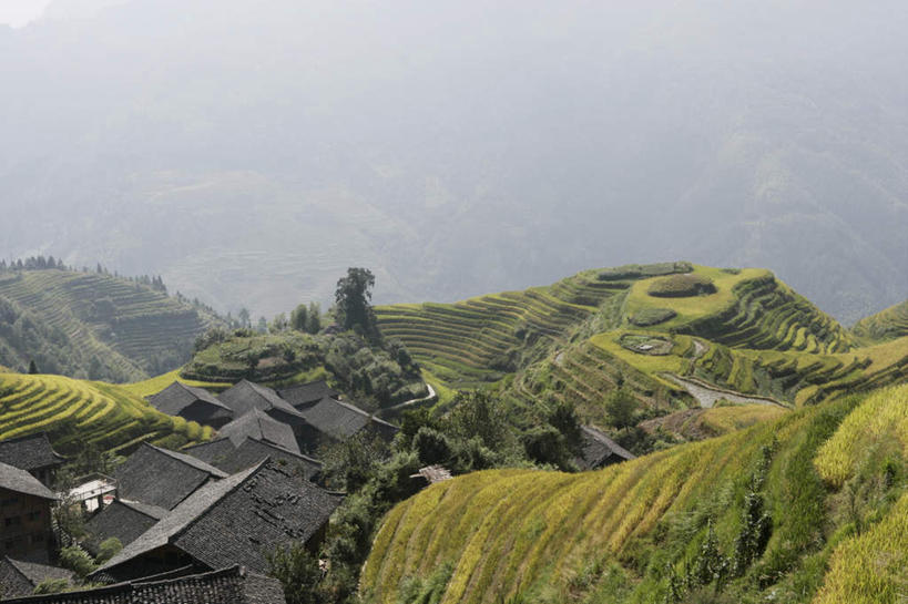 无人,农田,横图,俯视,航拍,室外,白天,农业,庄稼,农作物,草地,草坪,石头,山,山脉,植物,中国,亚洲,阴影,光线,石子,影子,稻田,山峰,乡村,农村,山峦,草,黄色,蓝色,绿色,蓝天,天空,阳光,村庄,群山,天,晴朗,广西,村落,鸟瞰,东亚,龙胜,龙脊梯田,万里无云,广西壮族自治区,中华人民共和国,桂,华南地区,屯子,墟落,龙胜各族自治县,龙胜梯田,石块,岩石,晴空,晴空万里,彩图,高角度拍摄,耕地,庄稼田